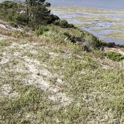 Bmick von der Landzunge auf den Atlantik und den Hafen Setúbal