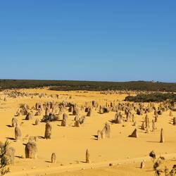 Unglaublich, was die Natur so kann