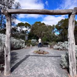 Mrs McCrackens Garden