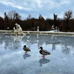 Schloss Schönbrunn, Garten