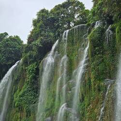 Checken Thac Ban Gioc