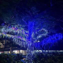 Am Hafen im sogenannten Port Denerau