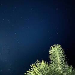 Endlich sehe ich einmal Sterne auf Fiji