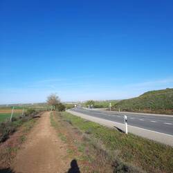 Bääää, Straßen-Walk