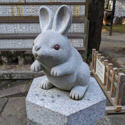 Okazaki Jinja et ses usagi