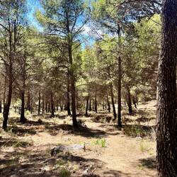 Von da geht es natürlich wieder rauf, wobei es deutlich trockener wird,..