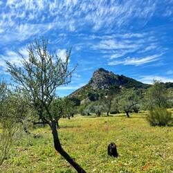 Auf der anderen Seite des Anstiegs ist es dann plötzlich wieder..