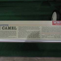 Not a word about Snoopy. A plot started by the Red Baron, obviously.