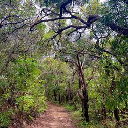 Noosa National Park 🏞️