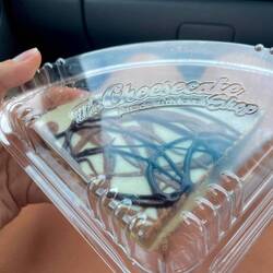 Marble Cheesecake vom Cheesecake Shop aus Currimundi😋