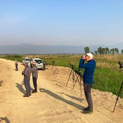 Scanning the marshlands.