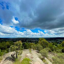 Mount Marley Lookout 👀