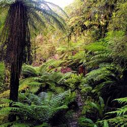 Fa(r)ntastischer Weg