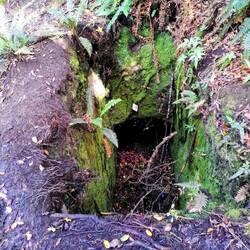 Die Reste der einstigen Goldgräber-Welt