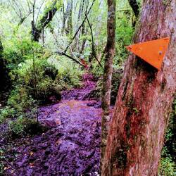 Schlamm = Weg passt noch immer