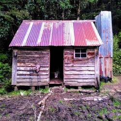 Martins Hut, erbaut 1905 von Goldgräbern