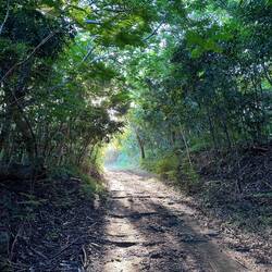 Wir spazieren Richtung Sunset Point