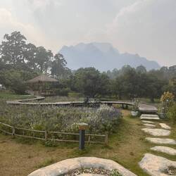 Doi Chiang Dao as viewed from the backyard of a café, on one of our clearest days in town.