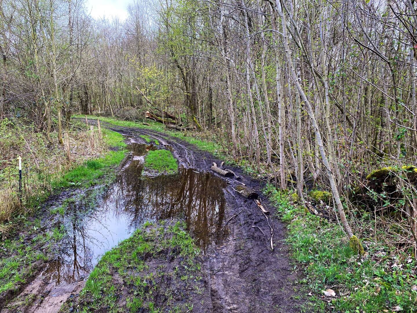 Ohne die Holz"Brücke" wären die Füße nass geworden
