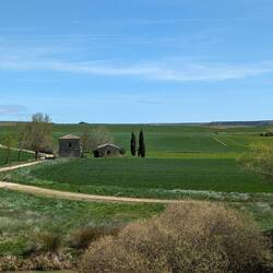 The coffee church and hut with bathroom behind