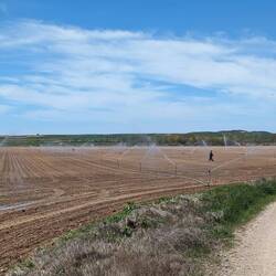 These sprinklers sprayed me a bit which was honestly wildly exciting