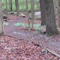 ...or on an unsaved trail.