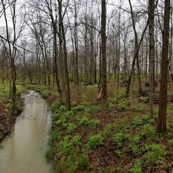 Walk on a paved trail...