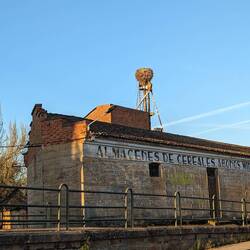 These things are completely rogue