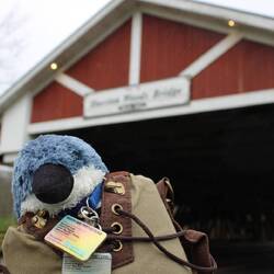 The intrepid (it must be said) Dude is having fun.