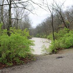 Again with the high water.