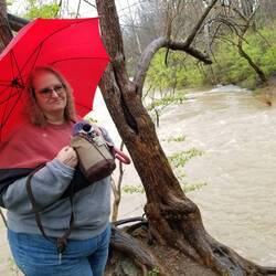 Dawn observes that two streams converge before passing beneath the bridge.