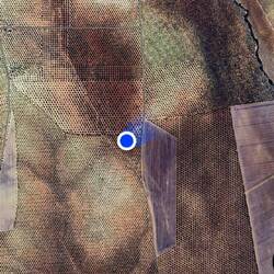 So sieht das übrigens von oben aus 🫒