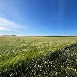 ..die Ereignisse, denn es wird sowohl..