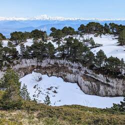 Views from highest Jurassic to Alpine peaks