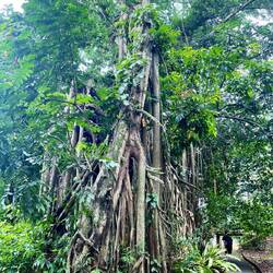 schon wieder der Typ 😎