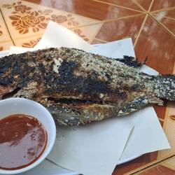 Oder in der Salzkruste gegrillt