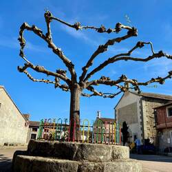 Fuenterroble de Salvatierra