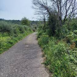 Ein Wirtschaftsweg