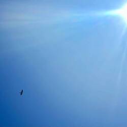 Aber das bringt mich zumindest zurück zu..