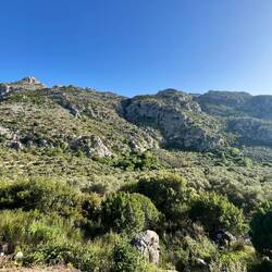 Aber so ganz kann ich dann doch nicht ohne meine olivigen Freunde.