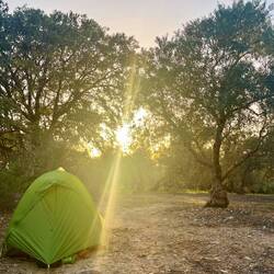 Wo soll ich auch sonst schlafen?