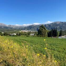 Der Nachteil daran ist, dass ich dadurch..