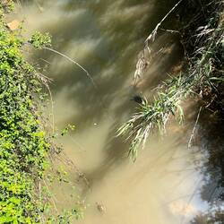 ..mit dem Reich der Schildkröten 🐢