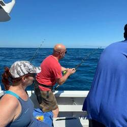 Der Kampf des Gedi mit dem Fisch