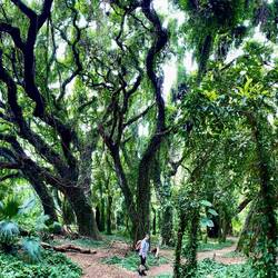 Wolfgang im Märchenwald