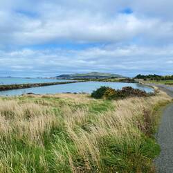 Bluff Hill kommt näher 🤪