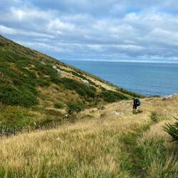 Hoch, runter, hoch, runter 😏