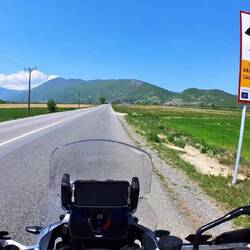 Jetzt kommen noch Wildschweine dazu...