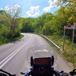 Hat es jetzt Bären oder nicht?