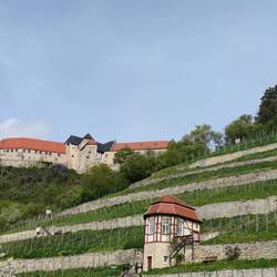 Neuenburg in Freyburg